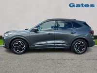 Used Ford Kuga ST-Line X 150 HP (110 kW) 2025 Grey SUV