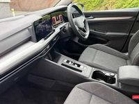 Used VW Golf VIII 150 HP (110 kW) 2023