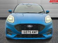 New Ford Puma ST-Line 125 HP (91 kW) 2025 SUV