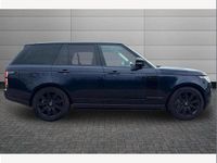 Used Land Rover Range Rover 404 HP (297 kW) 2021 Portofino blue SUV