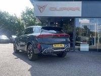 Used Cupra Terramar 2025 Blue SUV
