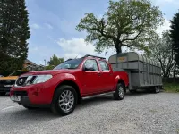Used Nissan Navara 228 HP (167 kW) 2013 Red Pickup