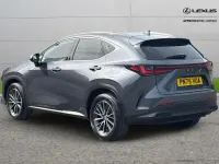 Used Lexus NX350h 240 HP (176 kW) 2025 Grey SUV