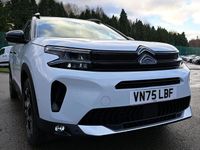 New Citroën C5 Aircross 127 HP (93 kW) 2025 White SUV