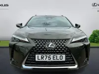 Used Lexus UX 199 HP (146 kW) 2025 Green SUV