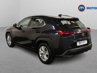 Used Lexus UX 250h 184 HP (135 kW) 2024 SUV