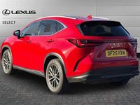 Used Lexus NX450h+ 309 HP (227 kW) 2025 Red SUV
