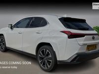 Used Lexus UX 250h 184 HP (135 kW) 2024 SUV