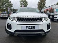 Used Land Rover Range Rover evoque SE 180 HP (132 kW) 2016 White SUV