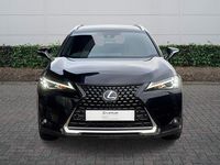 Used Lexus UX 250h 2021 Black SUV
