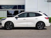 Used Ford Kuga ST-Line X 190 HP (139 kW) 2022 White SUV