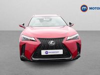 Used Lexus UX 250h Sport Line 184 HP (135 kW) 2022 SUV