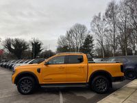 Used Ford Ranger Wildtrack 2023 Orange Pickup