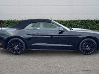 Used Ford Mustang Convertible 310 HP (228 kW) 2019 Black Cabriolet
