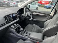 Used Skoda Karoq SE L 150 HP (110 kW) 2024 Blue SUV