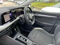 Used VW Golf VIII 150 HP (110 kW) 2023