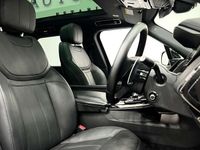 Used Land Rover Range Rover Sport SE Dynamic 300 HP (220 kW) 2025 SUV