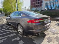 Usado Jaguar XF Premium Luxury 2010 Cinzento Sedan