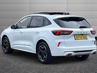 Used Ford Kuga ST-Line X 183 HP (134 kW) 2024 Frozen white SUV