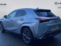 Used Lexus UX Sport Line 184 HP (135 kW) 2023 Sonic platinum SUV