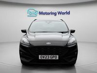 Used Ford Kuga ST-Line X 190 HP (139 kW) 2023 SUV
