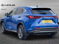Used Lexus NX350h 245 HP (180 kW) 2023 Blue SUV