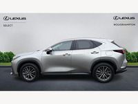 Used Lexus NX350h 2024 Silver Estate