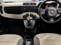 Used Fiat Panda Easy 69 HP (50 kW) 2020 Hatchback