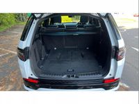 Used Land Rover Discovery Sport 290 HP (213 kW) 2021 White SUV