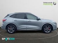 Used Ford Kuga ST-Line 148 HP (108 kW) 2023 Grey SUV