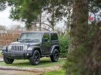 Usado Jeep Wrangler Sahara 197 HP (144 kW) 2018 Cinzento SUV