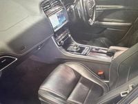 Used Jaguar XE R-Sport 200 HP (147 kW) 2019 White Sedan