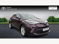 Used Toyota C-HR 2023 Mauve/purple SUV