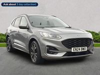 Used Ford Kuga ST-Line X 2024 Silver SUV