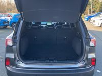 Used Ford Kuga Titanium 150 HP (110 kW) 2023 Grey SUV