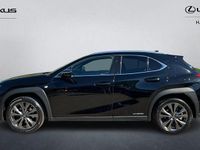 Used Lexus UX Sport Line 184 HP (135 kW) 2020 Black SUV