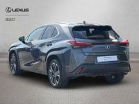 Used Lexus UX 250h 2023 Grey SUV