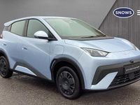 New BYD Dolphin Surf Active 11 kW (15 HP) 2025 Ice blue Hatchback