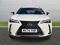 Used Lexus UX 300h 2024 White SUV
