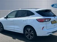 Used Ford Kuga ST-Line X 190 HP (139 kW) 2023 White SUV
