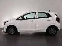 Used Kia Picanto 2024 White Hatchback