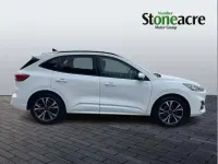 Used Ford Kuga ST-Line X 190 HP (139 kW) 2024 White SUV