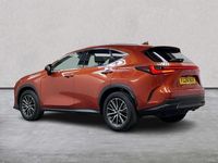 Used Lexus NX350h 2024 Orange Estate