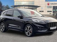Used Ford Kuga ST-Line X 224 HP (164 kW) 2020 SUV