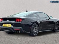 Used Ford Mustang GT Fastback 446 HP (328 kW) 2024 Absolute black (premium colour) Coupe