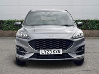 Used Ford Kuga ST-Line 150 HP (110 kW) 2023 SUV