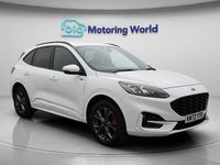 Used Ford Kuga ST-Line 225 HP (165 kW) 2023 White SUV