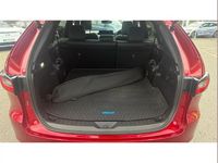 Used Mazda CX-80 Homura-Line 251 HP (184 kW) 2024 Other SUV