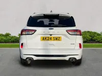 Begagnad Ford Kuga ST-Line 2024 Vit SUV