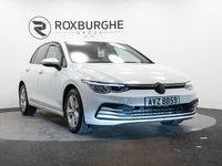 Used VW Golf VIII Life 110 HP (80 kW) 2023 White Hatchback